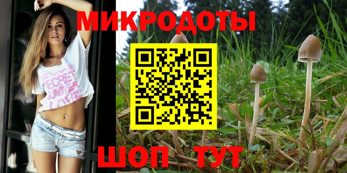 Псилоцибиновые грибы Psilocybine cubensis Свободный